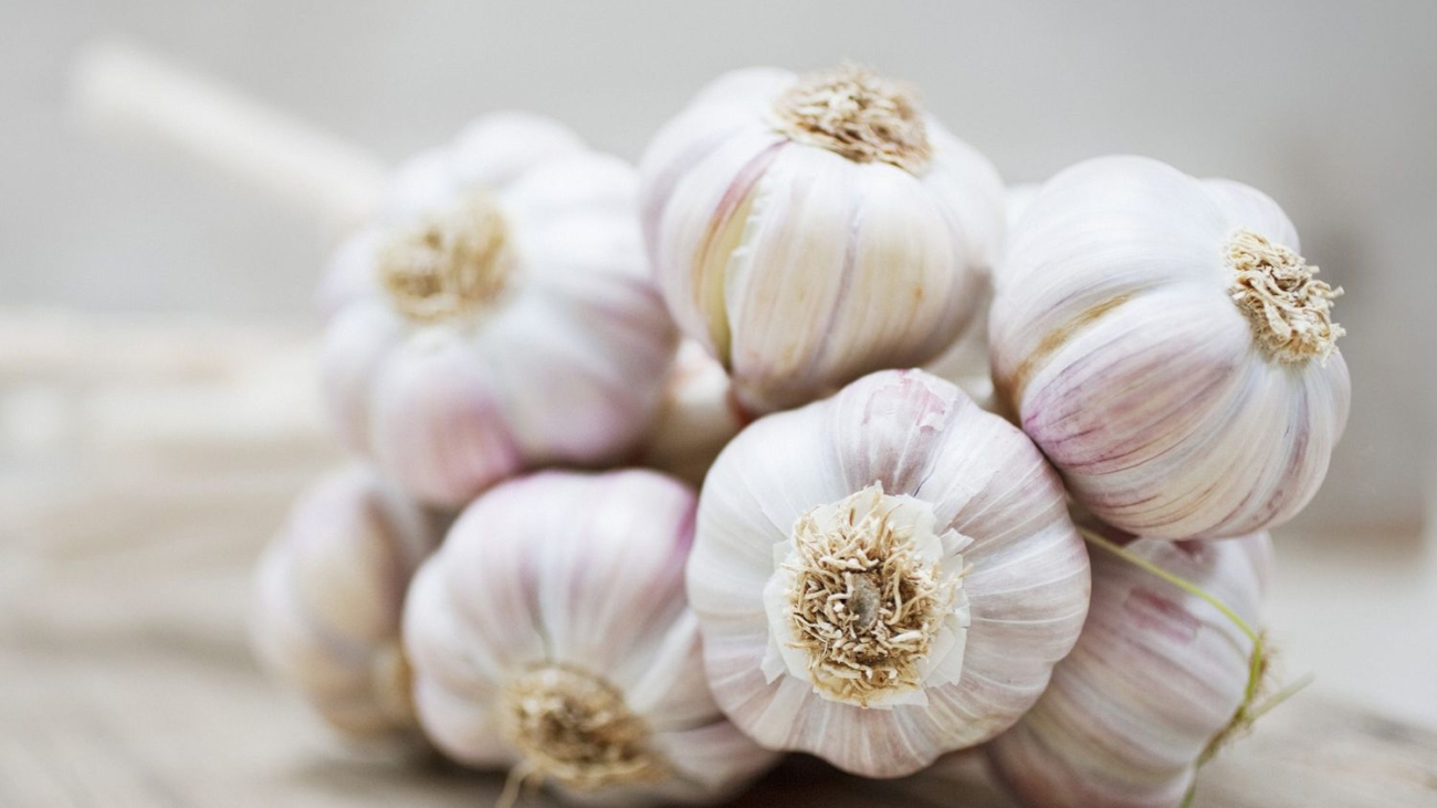 health-benefits-of-garlic-2000-482c21fd2d154102a9b7a46ccb34e70a (1)