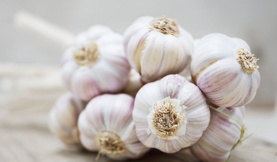 health-benefits-of-garlic-2000-482c21fd2d154102a9b7a46ccb34e70a (1)